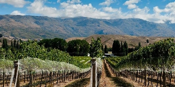 New Zealand Small Group Golf Tour Vacation Package Gibbston Valley, New Zealand - PerryGolf + Azamara Cruises